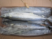 frozen whole fish - product's photo