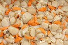 king scallop meat (pecten maximus) - product's photo
