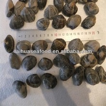 chicken back with tail - product's photo