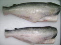frozen pangasius hgt - product's photo