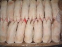 high quality fresh frozen pork meat - product's photo