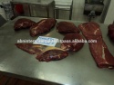 horse wholesale - product's photo