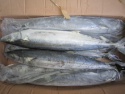 frozen whole fish - product's photo