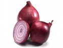 best quality yellow onion ready for sale - product's photo