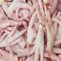 frozen chicken feet & paws, whole chiken - grade a processed  - product's photo