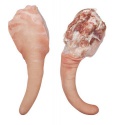 grade a frozen pork meat , pork tail,pork feet - product's photo