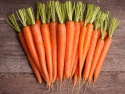 fresh carrot - product's photo