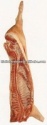 frozen pork carcass - product's photo