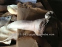 frozen beef ears - product's photo