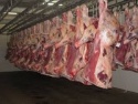frozen grade a goat meat - product's photo