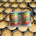 canned sweet corn - product's photo