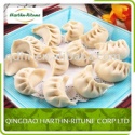 frozen dumplings - product's photo