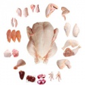 frozen whole chiken - product's photo