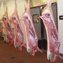 frozen pork meat , pork belly , pork ham hock - product's photo