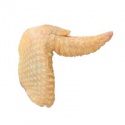 frozen chicken wings - product's photo