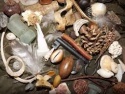   african traditional powerful healer and instant revenge spell caster - product's photo