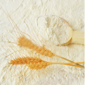 gluten free - product's photo