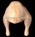 united kingdom iso frozen turkey meat - product's photo