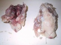 chicken back with tail - product's photo