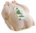 halal whole frozen chicken - product's photo