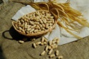 peanut in shell - product's photo
